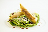 Vegetables fried in wonton wrapper on cress & spinach salad