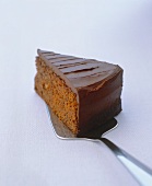 Piece of chocolate cake on cake server