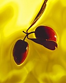 Two Olives in Olive Oil