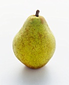 An Anjou Pear