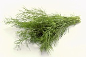 Fresh Dill