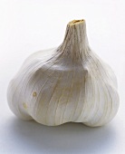 A Garlic Bulb