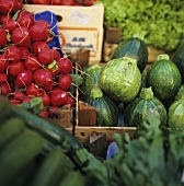 Vegetable Market: Zucchini and Red Radishes