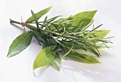 Fresh Rosemary and Bay Leaves