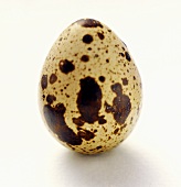 A Quail Egg