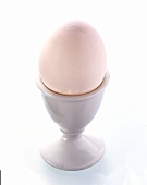 A White Egg in an Egg Cup