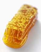 Honey Comb with Honey Spilling Out