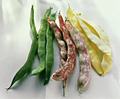 Three Varieties of Snap Beans: Green, Cranberry and Wax