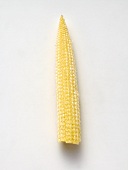 A Single Ear of Baby Corn