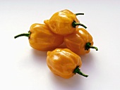 Habanero Peppers