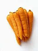 Carrots with Greens Removed