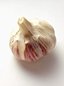 A Bulb of Garlic
