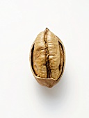 A Pecan