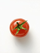 A Vine Ripened Tomato