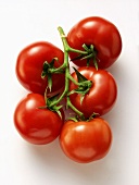 Five Vine Ripened Tomatoes