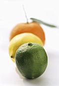 A Lime with a Lemon and an Orange