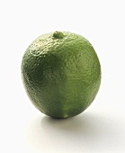 A Lime