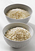 Long and Short Grain Rice