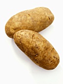 Two Russet Potatoes