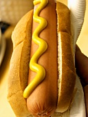A Hot Dog with Yellow Mustard