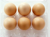 Brown Eggs in an Opened Clear Carton