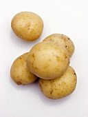 Five New Potatoes