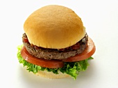 A Hamburger with Lettuce, Tomato and Ketchup