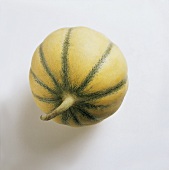 A charentais melon