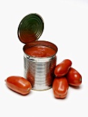 Open Can of Tomatoes with Fresh Plum Tomatoes
