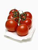 Vine Ripened Tomatoes on Paper Towel