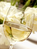 Glass of White Wine