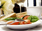 Fresh Mozzarella and Tomato Salad with Basil