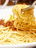 Spaghetti Twirled on Fork