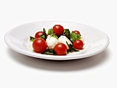 Mozzarella with tomatoes and basil