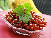 Red Currants in a Glass Dish