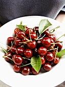 Cherries in a Bowl