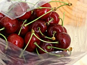 Cherries in a Plastic Bag