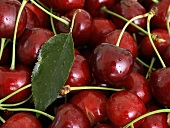 Cherries (Full Frame)