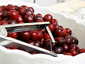 Cherries in a Bowl with Cherry Pitter
