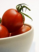 Frische Tomaten in Schale