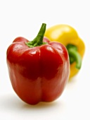 Red and Yellow Bell Pepper