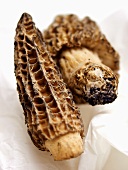 Morel Mushrooms