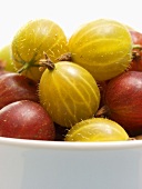 Gooseberries in a Bowl