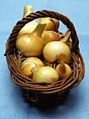 Basketful of Onions