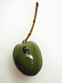 One Green Olive