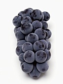 Purple Grapes