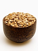 Spelt grains in brown bowl