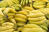 Viele Bananenstauden auf einem Markt