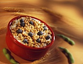 Bowl of Granola with Blueberries