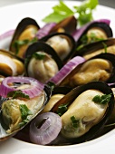 Mussels with garlic in white wine